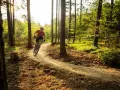 Rowerzysta na ścieżce w lesie, słońce przebija się przez drzewa. Trzebinia trasa zaprasza do aktywnego wypoczynku.
