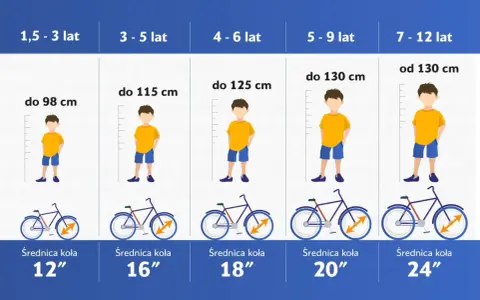 Tabela: jak dobrać rower do wzrostu dziecka. Wiek, wzrost i średnica koła roweru dla dzieci.