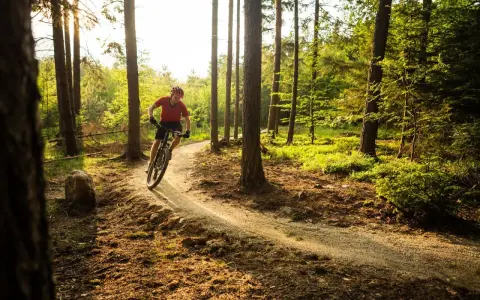 Rowerzysta na ścieżce w lesie, słońce przebija się przez drzewa. Trzebinia trasa zaprasza do aktywnego wypoczynku.