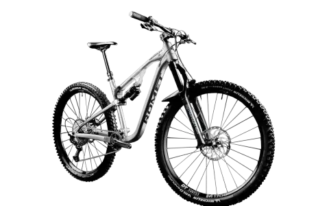 Srebrny rower górski Romet Dagger 2.0 z pełnym zawieszeniem, oponami Michelin Wild Enduro i obręczami DT Swiss M1700. Jedna z wielu marek rowerów.