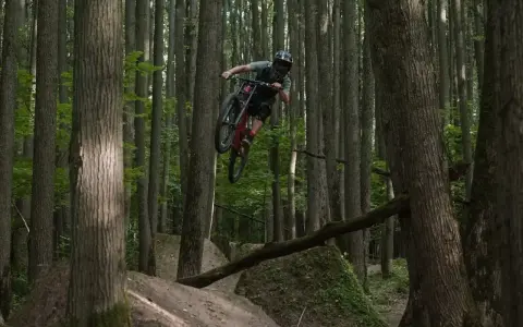 Kolarz MTB w powietrzu na leśnych trasach.