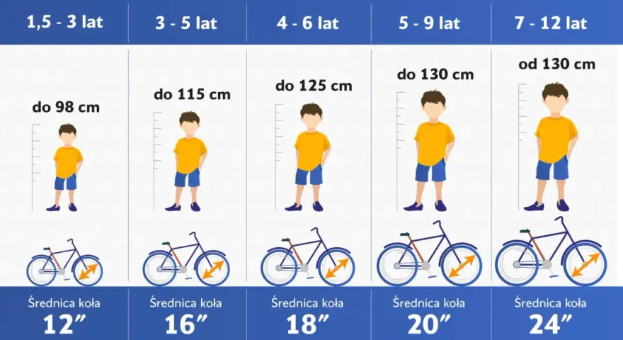 Tabela: jak dobrać rower do wzrostu dziecka. Wiek, wzrost i średnica koła roweru dla dzieci.