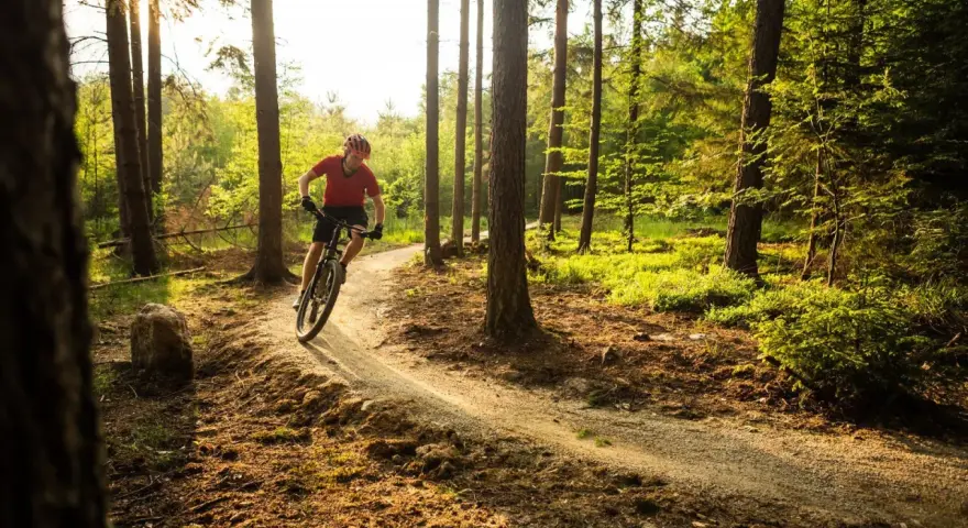 Rowerzysta na ścieżce w lesie, słońce przebija się przez drzewa. Trzebinia trasa zaprasza do aktywnego wypoczynku.