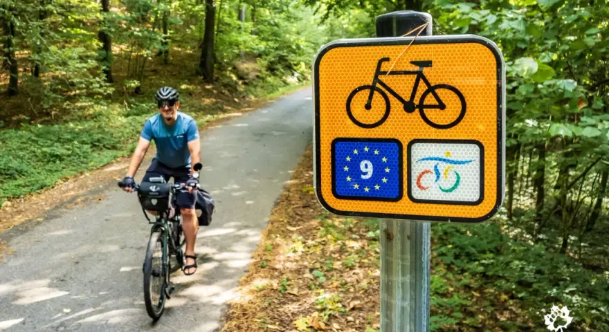 Rowerzysta na leśnej drodze, obok znak szlaku rowerowego krajowego z symbolem UE.
