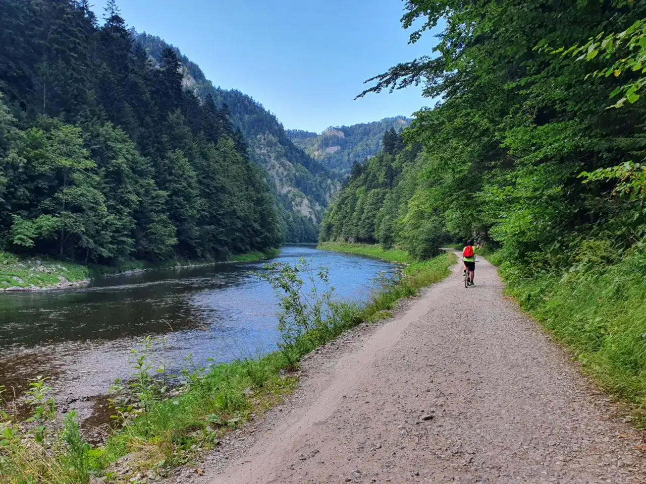 Rowerzysta przemierza malowniczą trasę velo dunajec w otoczeniu zielonych gór i szumiącej rzeki.