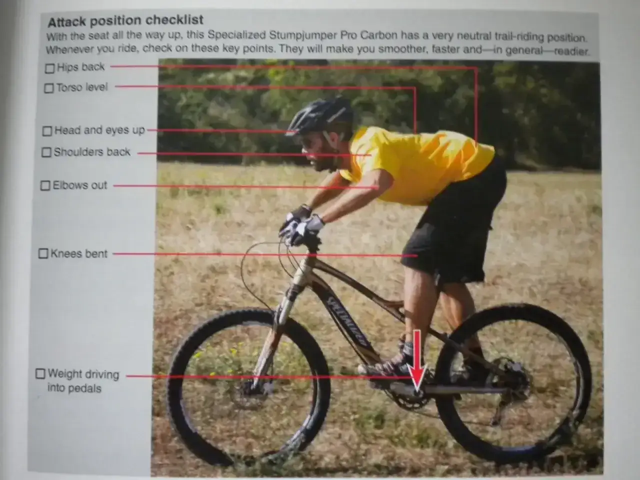 Prawidłowa pozycja na rowerze MTB: biodra cofnięte, tuł&oacute;w lekko pochylony, głowa do g&oacute;ry, łokcie na zewnątrz, kolana ugięte, ciężar na pedałach.