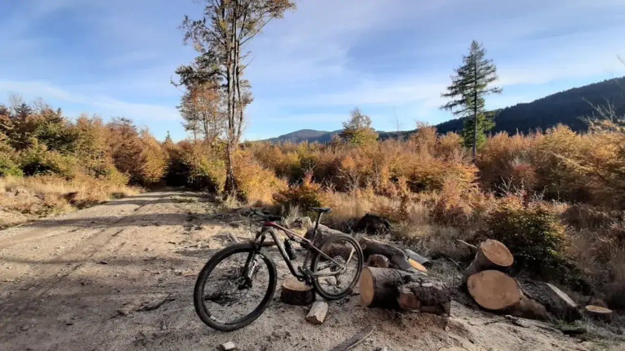 Rower MTB gotowy na bikepacking w jesiennym lesie. Droga wśr&oacute;d powalonych drzew i kolorowych liści zaprasza do przygody.